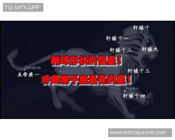 狮子座球星在足球界的闪耀光芒与成功之路 狮子座球星在足球界的闪耀光芒与成功之路