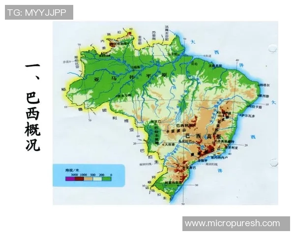 葡语中如何称呼足球球星及其背后的文化意义解析 葡语中如何称呼足球球星及其背后的文化意义解析