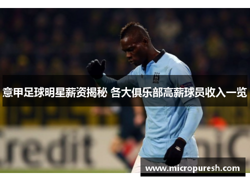意甲足球明星薪资揭秘 各大俱乐部高薪球员收入一览