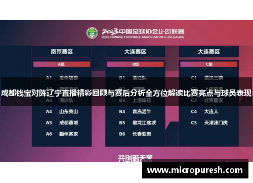 成都钱宝对阵辽宁直播精彩回顾与赛后分析全方位解读比赛亮点与球员表现