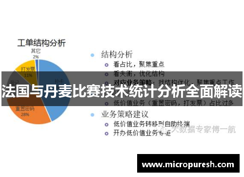 法国与丹麦比赛技术统计分析全面解读